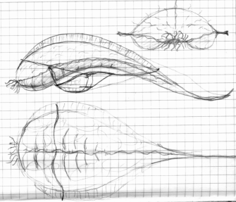 dreiseitige Ansicht eines Luftwal